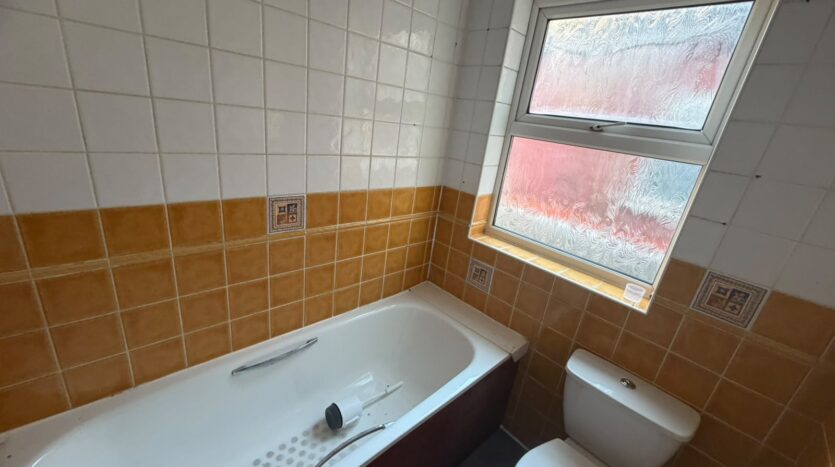family bathroom 2